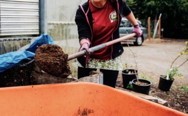 Five Things to Keep in Mind when Building a Living Soil